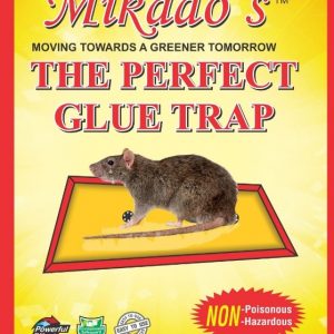 The Perfect Glue Trap (Big Size) Pack of 3